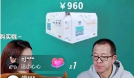 农嫂爆料新东方视频大全,新东方视频大全背后的真实教学故事