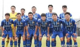 现役球员爆料最新消息视频,揭秘赛场幕后真相